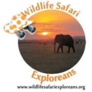 wildlife safari exploreans