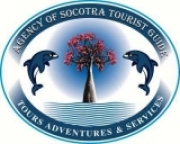 Socotra Travel Guide