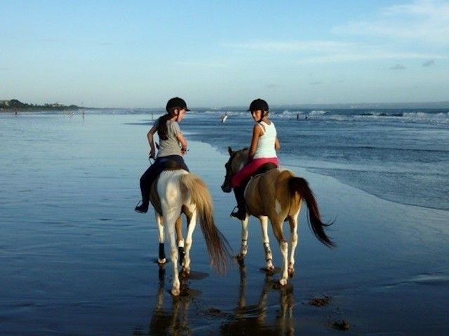 4fd8a1c8f57b557879e594c3.jpg - Horse riding 1