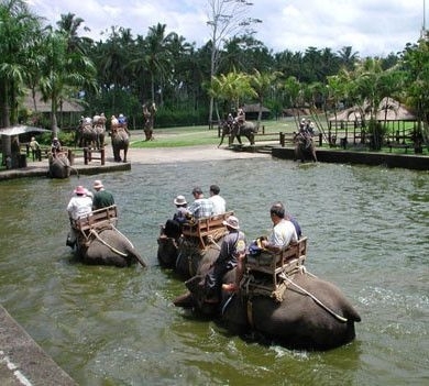 33a2c758373f273d09d986b9.jpg - elephant-ride2