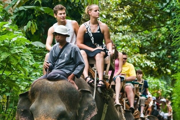 579b6835629760c28ee8217f.jpg - elephant-ride3