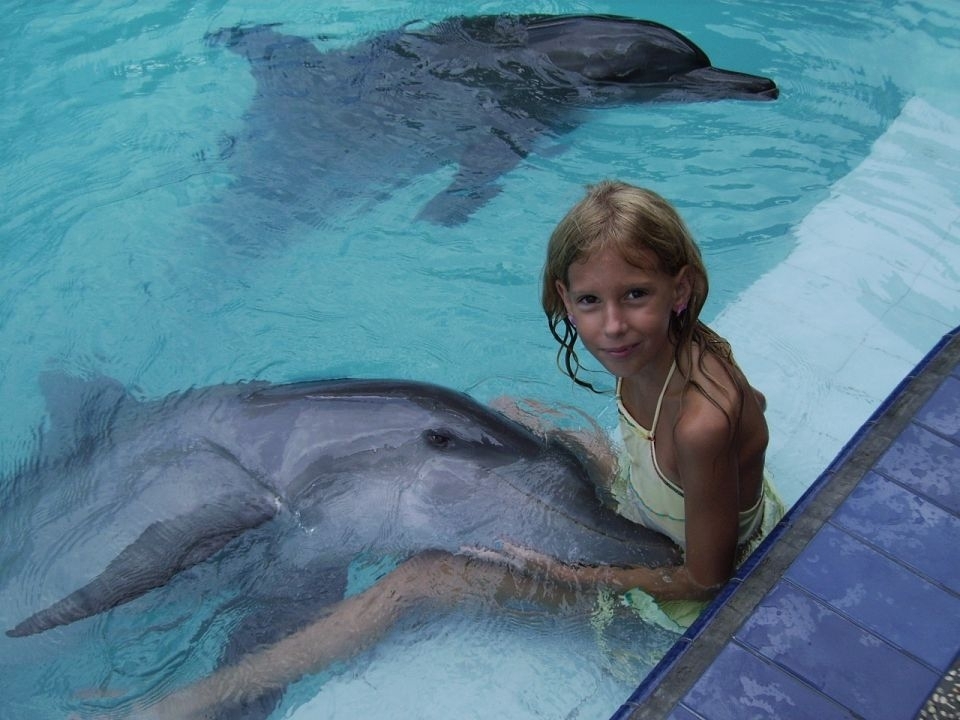 75673a6c349e344ccff94f35.jpg - swimming-dolphin2