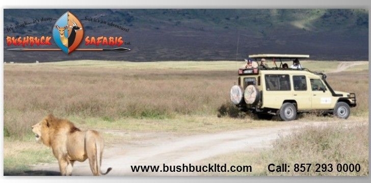 34c2c785fe2970a8b6d3c118.jpg - Bushbuck Safaris are pioneers of tourism in Tanzania with over 26 years of experience in the field of tourism.